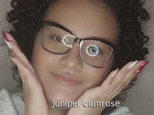 Juniper_camrose