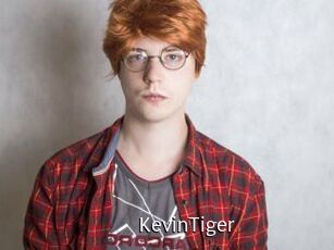 KevinTiger