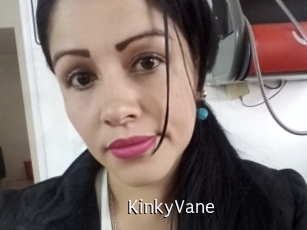 KinkyVane