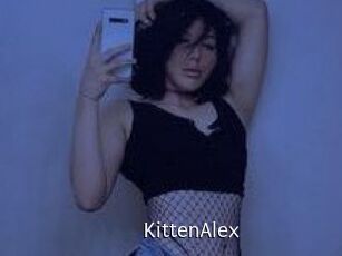 KittenAlex