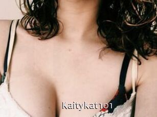 Kaitykat101