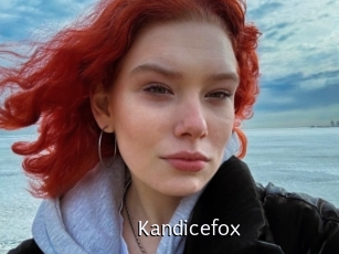 Kandicefox