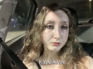 Kandikatie
