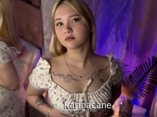 Karinacane