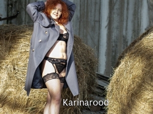 Karinarood