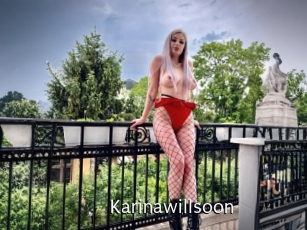 Karinawillsoon