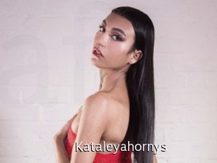 Kataleyahornys