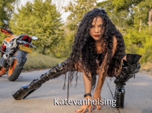 katevanhelsing Anal Fist