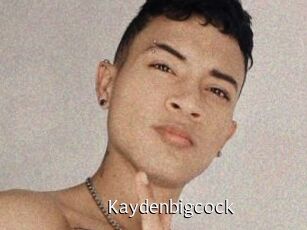 kaydenbigcock Anal Fist