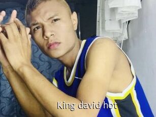 King_david_hot