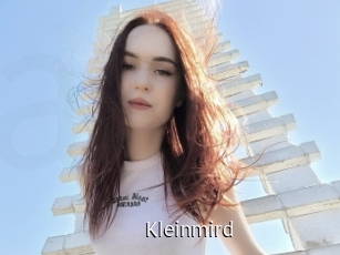Kleinmird