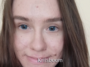 Kriisboom
