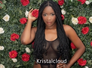 kristalcloud Anal Fist