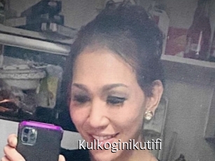 Kulkoginikutifi