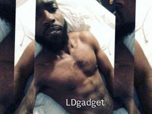 LDgadget
