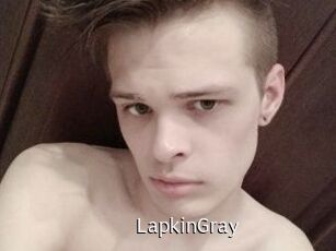 LapkinGray