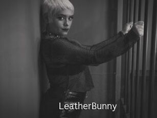 LeatherBunny
