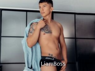 LiamBoss Anal Fist