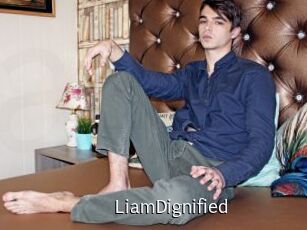 LiamDignified