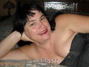 Lilly377