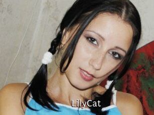 Lily_Cat_