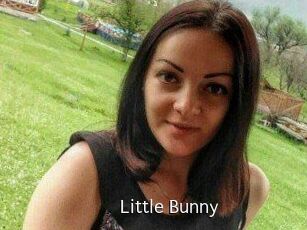 Little_Bunny_