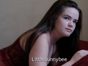 Littlebunnybee