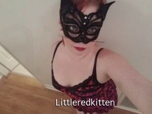 Littleredkitten