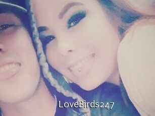 LoveBirds247