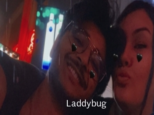 Laddybug
