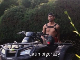 Latin_bigcrazy