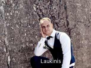 laukinis Anal Fist