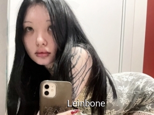 leinbone Anal Fist