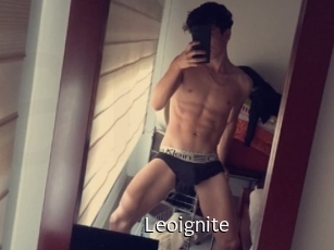 Leoignite