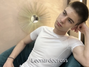 leonardocross Anal Fist