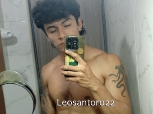 Leosantoro22