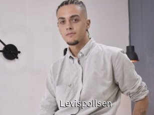 Levispollsen