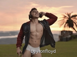 leytonfloyd Anal Fist