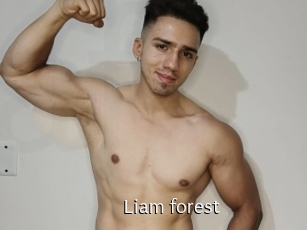Liam_forest