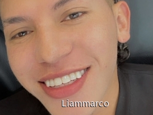 liammarco Anal Fist