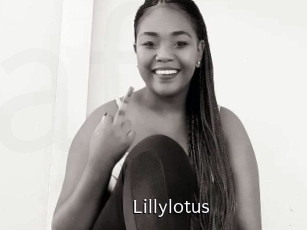 Lillylotus