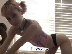 Lilyxgrey