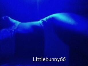 Littlebunny66