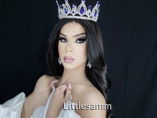 Littlesamm