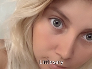 littlesary Anal Fist