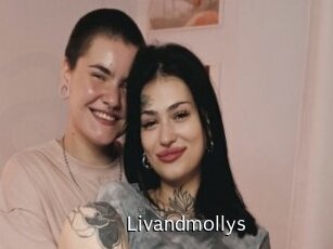 Livandmollys