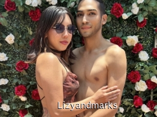 Lizyandmarks