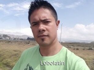 lobolatin Anal Fist
