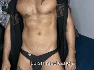Luismiguelcanela