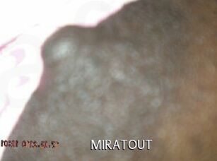 MIRATOUT